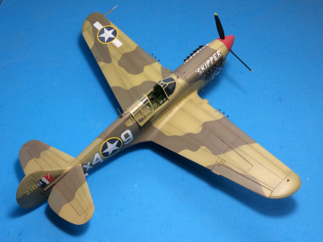 AMtech-P-40L-79th-FG-86th-FS-Skipper-5