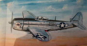 P-47.-Michael-Calomino-collection-via-son-Michael-Calomino