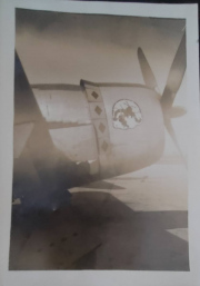 86th-P-47-likely-Horsching-Airbase-Linz-Austria.-Francis-J.-Dillon-collection-via-his-family