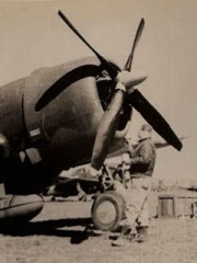 Individual-likely-with-86th-FS-checking-P-47-cowling.-Robert-C.-Maratta-collection-via-Robert-C.-Maratta-Jr