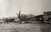 P-47s-likely-86th-FS.-Robert-C.-Maratta-collection-via-Robert-C.-Maratta-Jr
